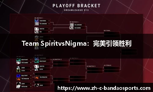 Team SpiritvsNigma：完美引领胜利